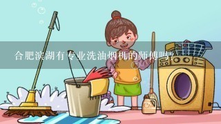 合肥滨湖有专业洗油烟机的师傅吗？