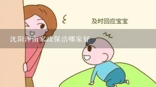 沈阳浑南家政保洁哪家好