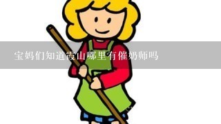 宝妈们知道霞山哪里有催奶师吗