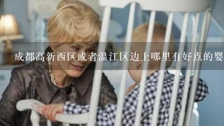 成都高新西区或者温江区边上哪里有好点的婴儿日托中心？各位宝妈有谁了解的还望解答1下。具体上哪里可以找到带小孩的日托呢？ 等到孩子10个月的时候我就要去上班了，家里老人身体不好1直在老家也带不了，找保姆这些放1个陌生人跟小孩在1块也不放心，想着托管的话是1堆孩子在1块应该会好点