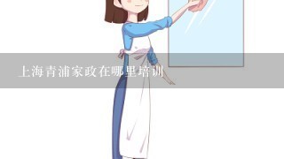 上海青浦家政在哪里培训