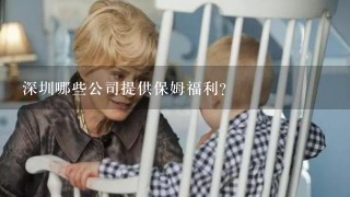 深圳哪些公司提供保姆福利?